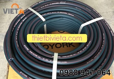 Day hoi cao su Han Quoc