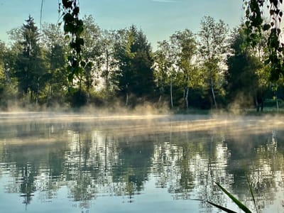 ARBEITEN / WORKS image