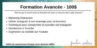 2eme formule. celle ci regroupe la video de formation de base + formation avancée (equivaut a 86€) image