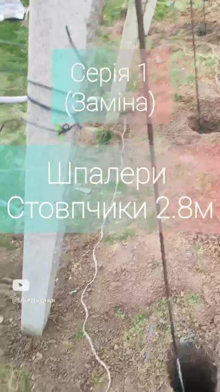 СЕРІЯ 1 (ШПАЛЕРА)