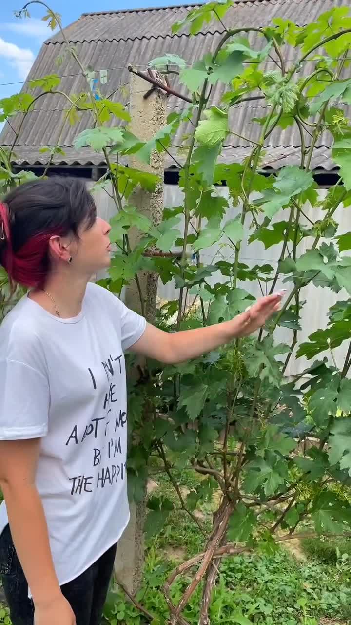 Наш спосіб формування  серія 1