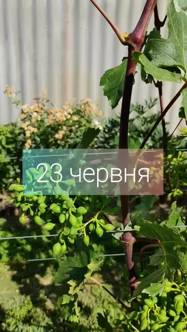 Наш спосіб формування  серія 2