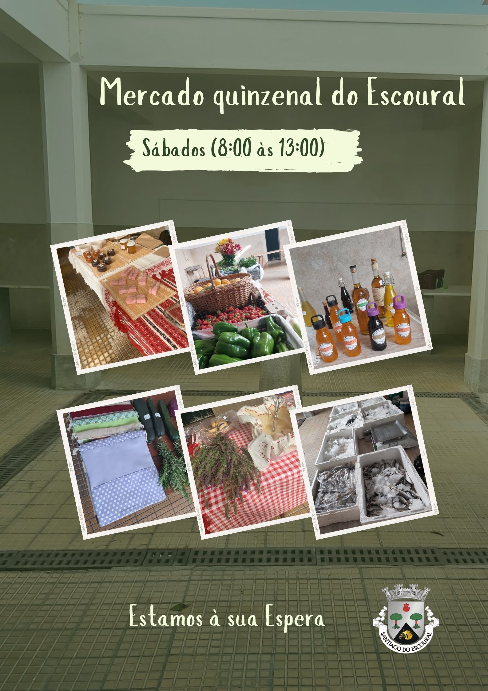 Mercado do Escoural