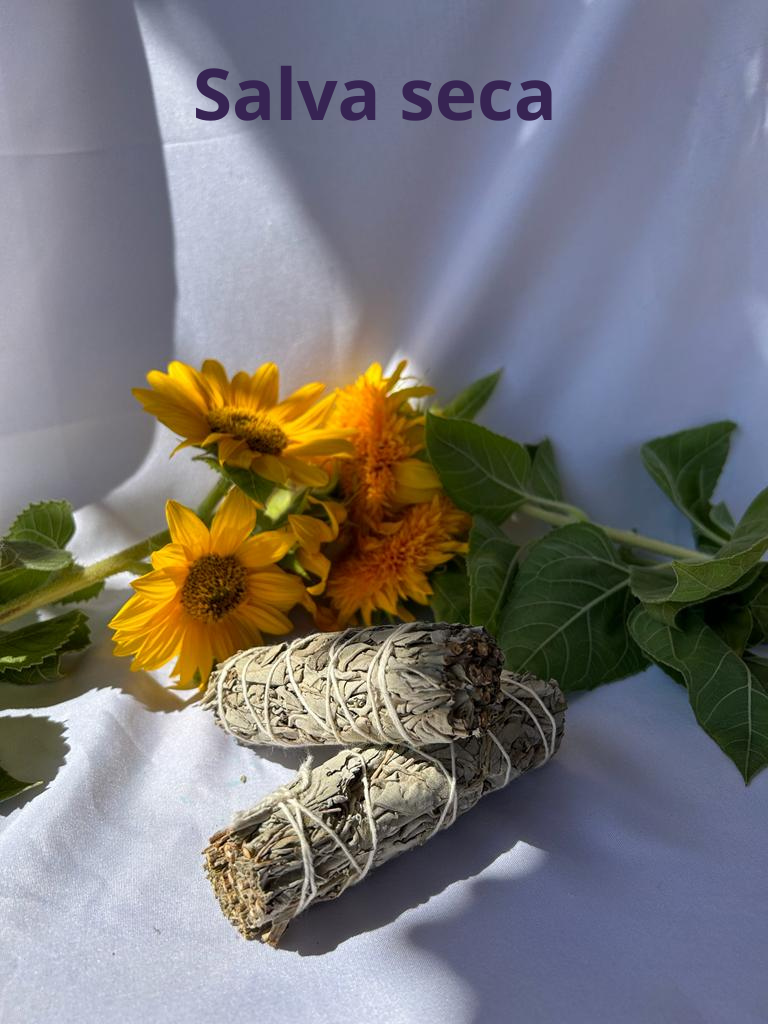Salva Seca - 2,5€