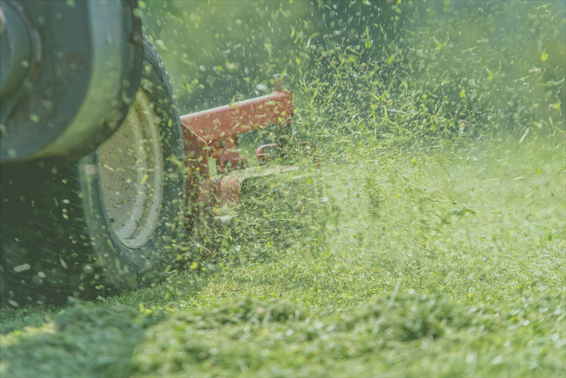 Lawn Maintenance