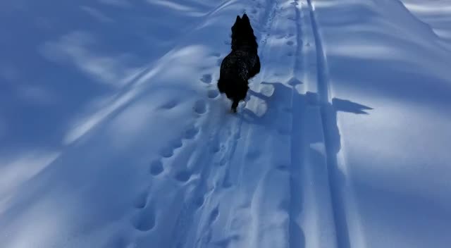 Anco   video thumbnail