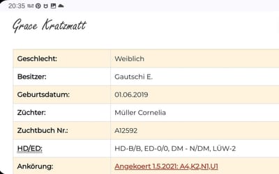 Wurfplanung 2024 image