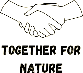 Climate Powers