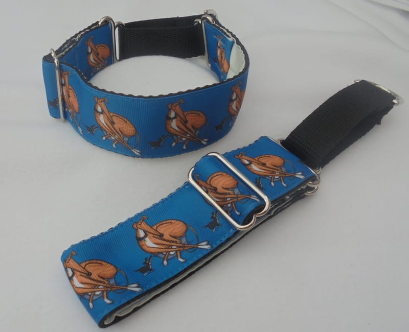 Martingale Collars