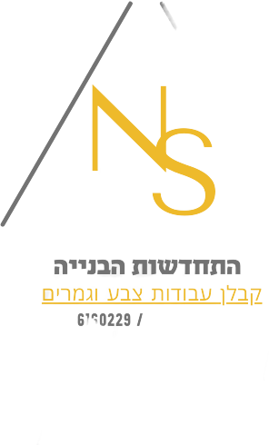 נתן שריקי-התחדשות הבנייה