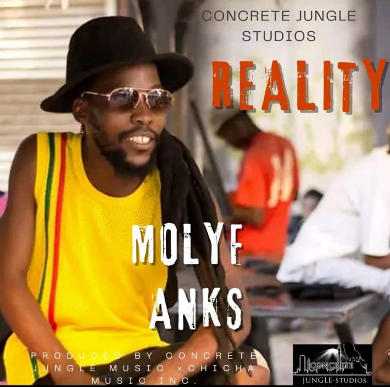 Concrete Jungle Studios and Publishing Presents Molyf Anks - Reality Album [December 2023]