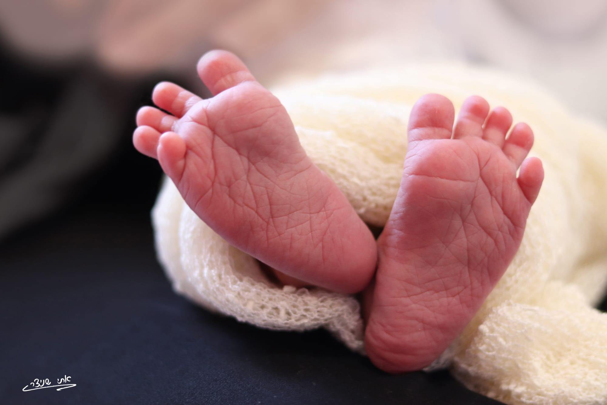 צילומי ניו בורן מרגשים