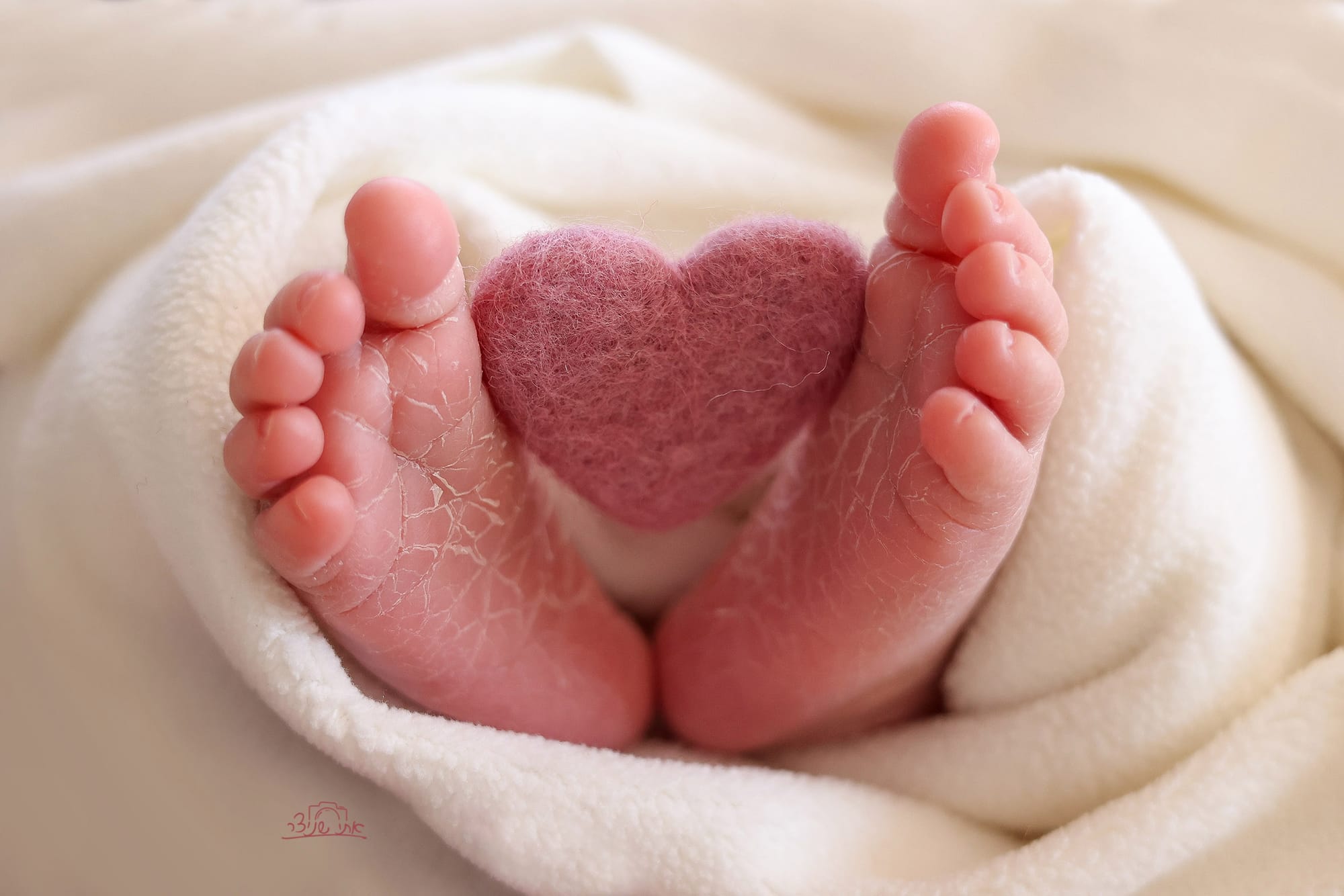 צילומי ניו בורן מרגשים