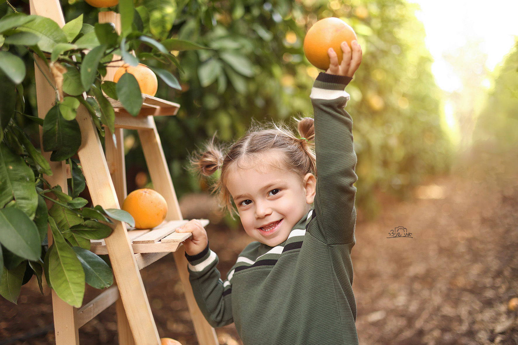 צילומי חלאקה משולבים בתמונות משפחתיות