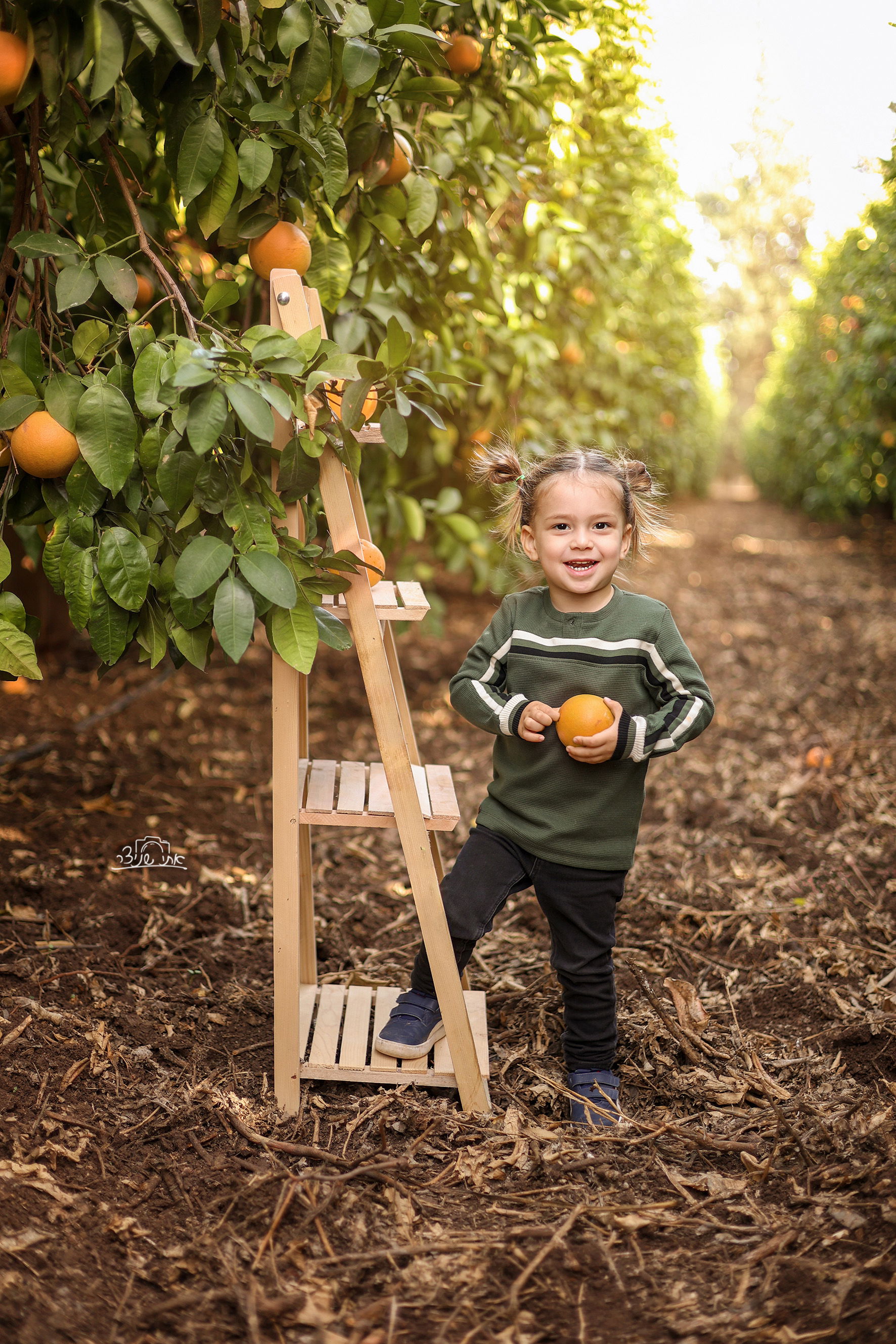 צילומי חלאקה משולבים בתמונות משפחתיות