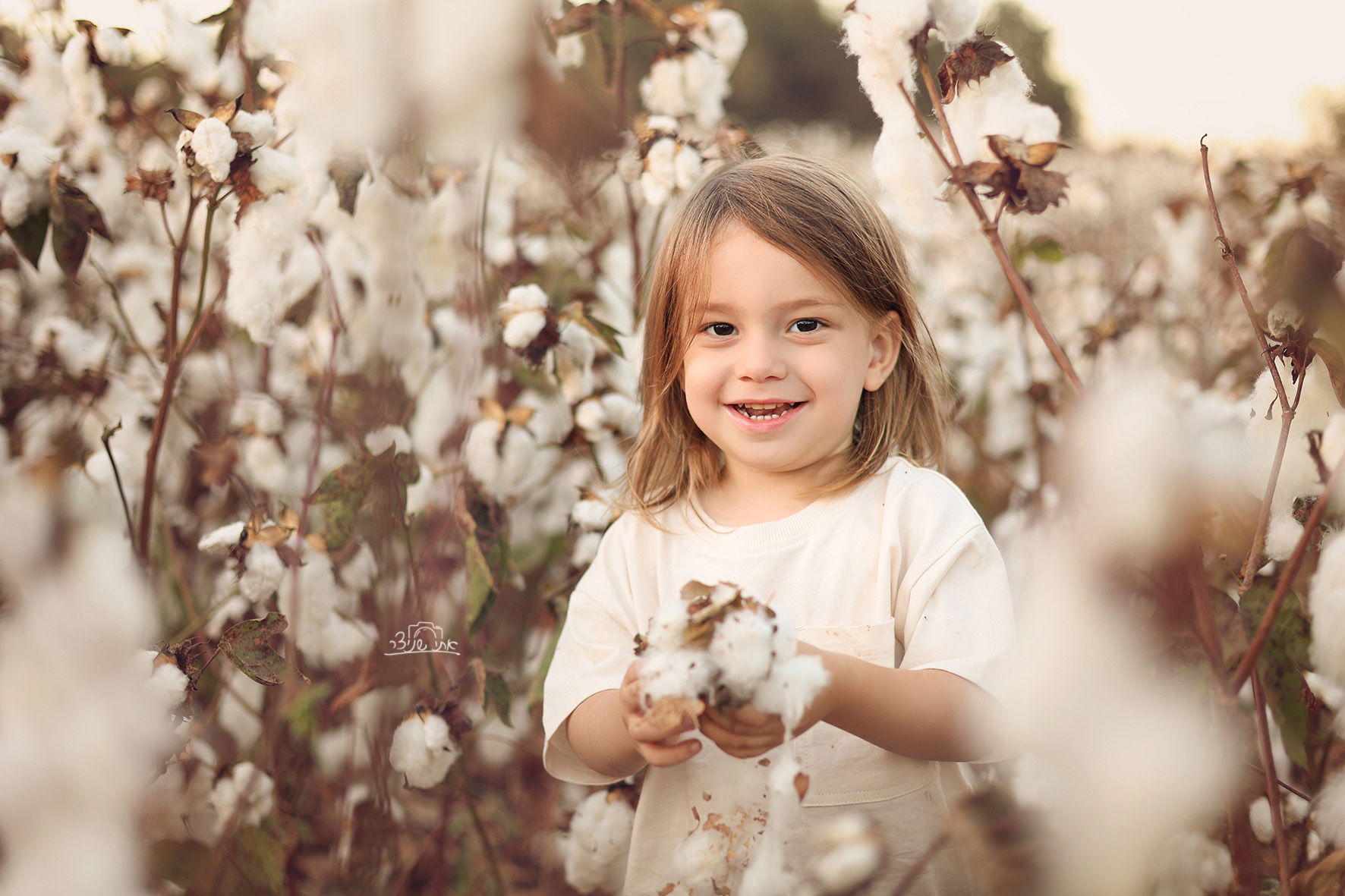 צילומי חלאקה משולבים בתמונות משפחתיות