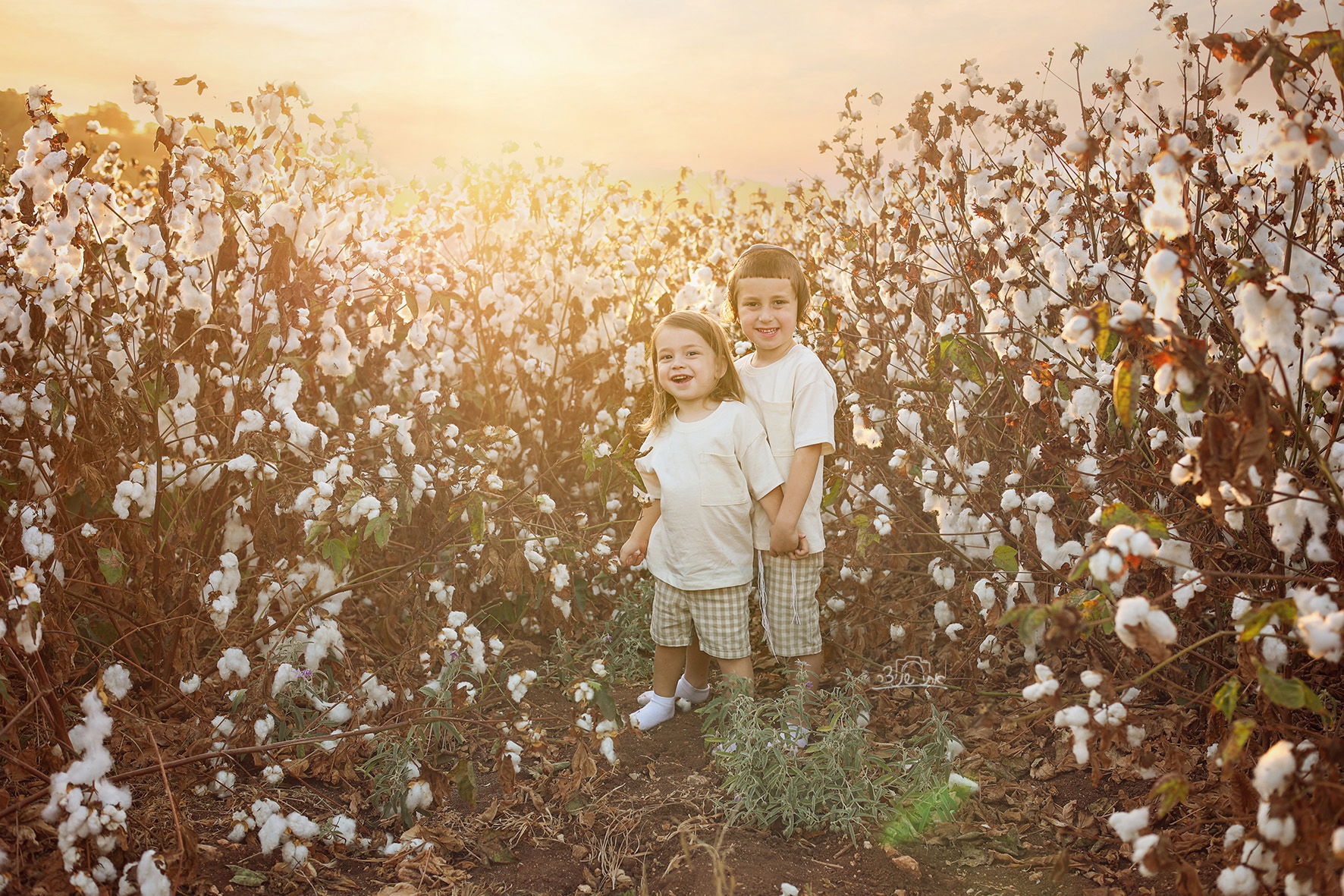 צילומי חלאקה משולבים בתמונות משפחתיות