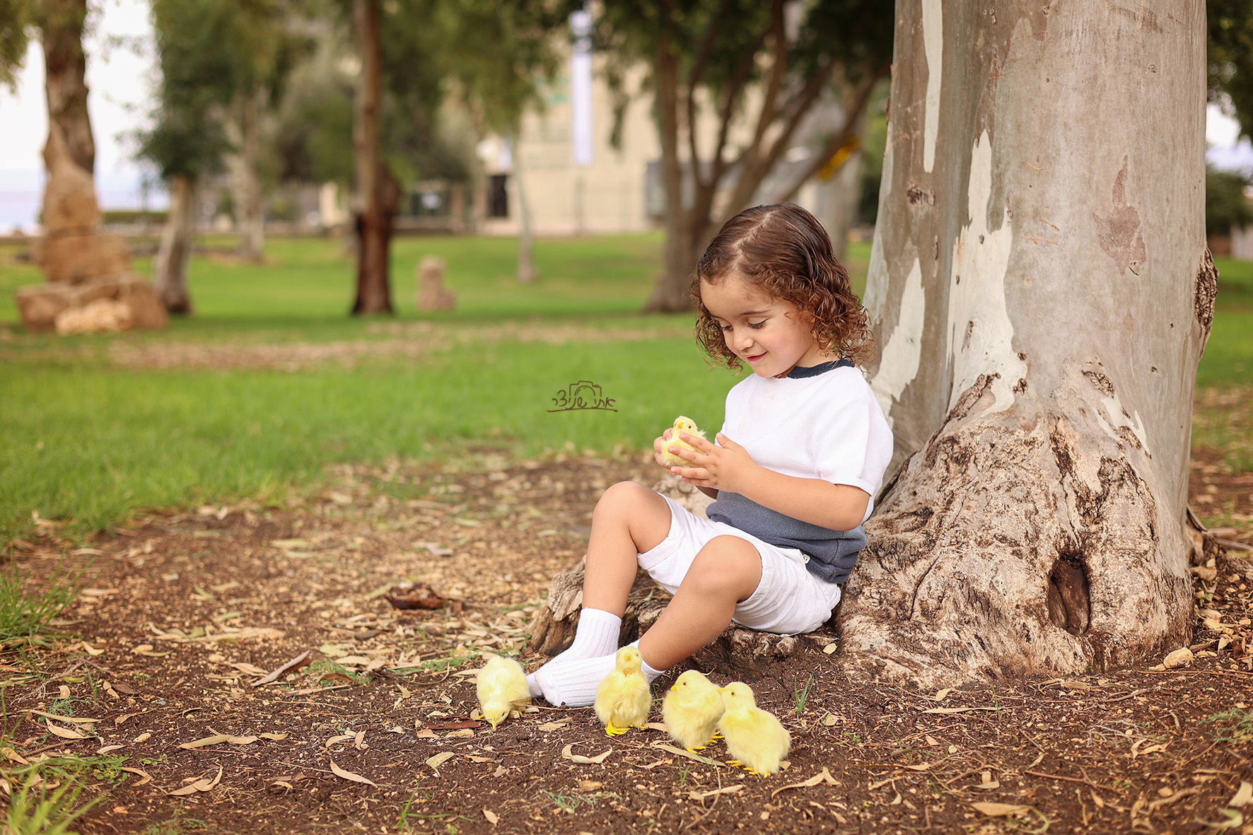 צילומי חלאקה משולבים בתמונות משפחתיות