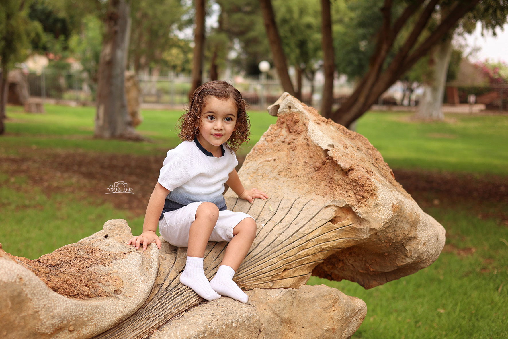 צילומי חלאקה משולבים בתמונות משפחתיות