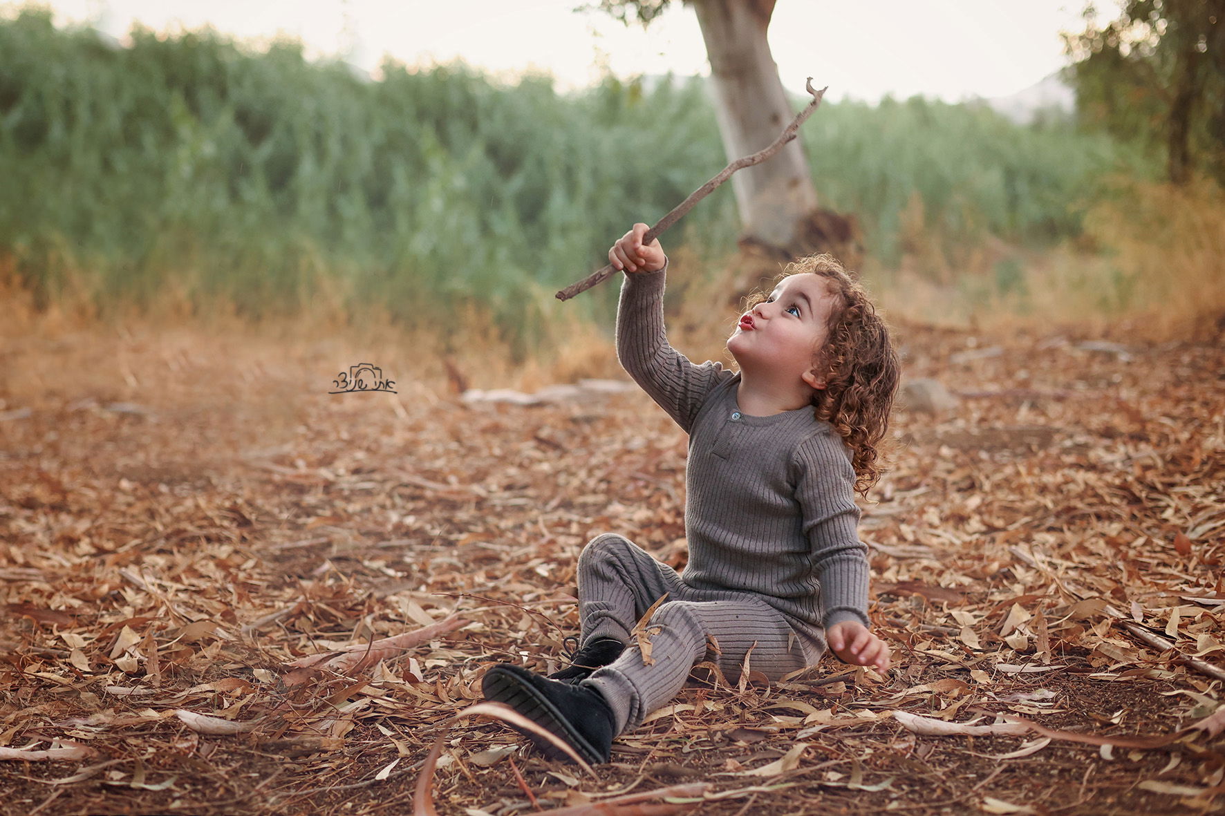 צילומי חלאקה משולבים בתמונות משפחתיות