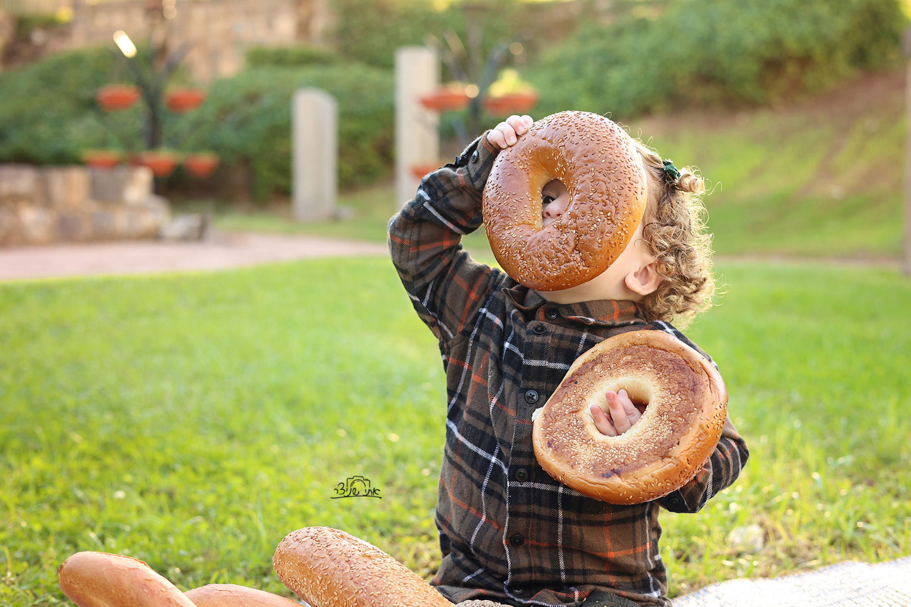 צילומי חלאקה משולבים בתמונות משפחתיות