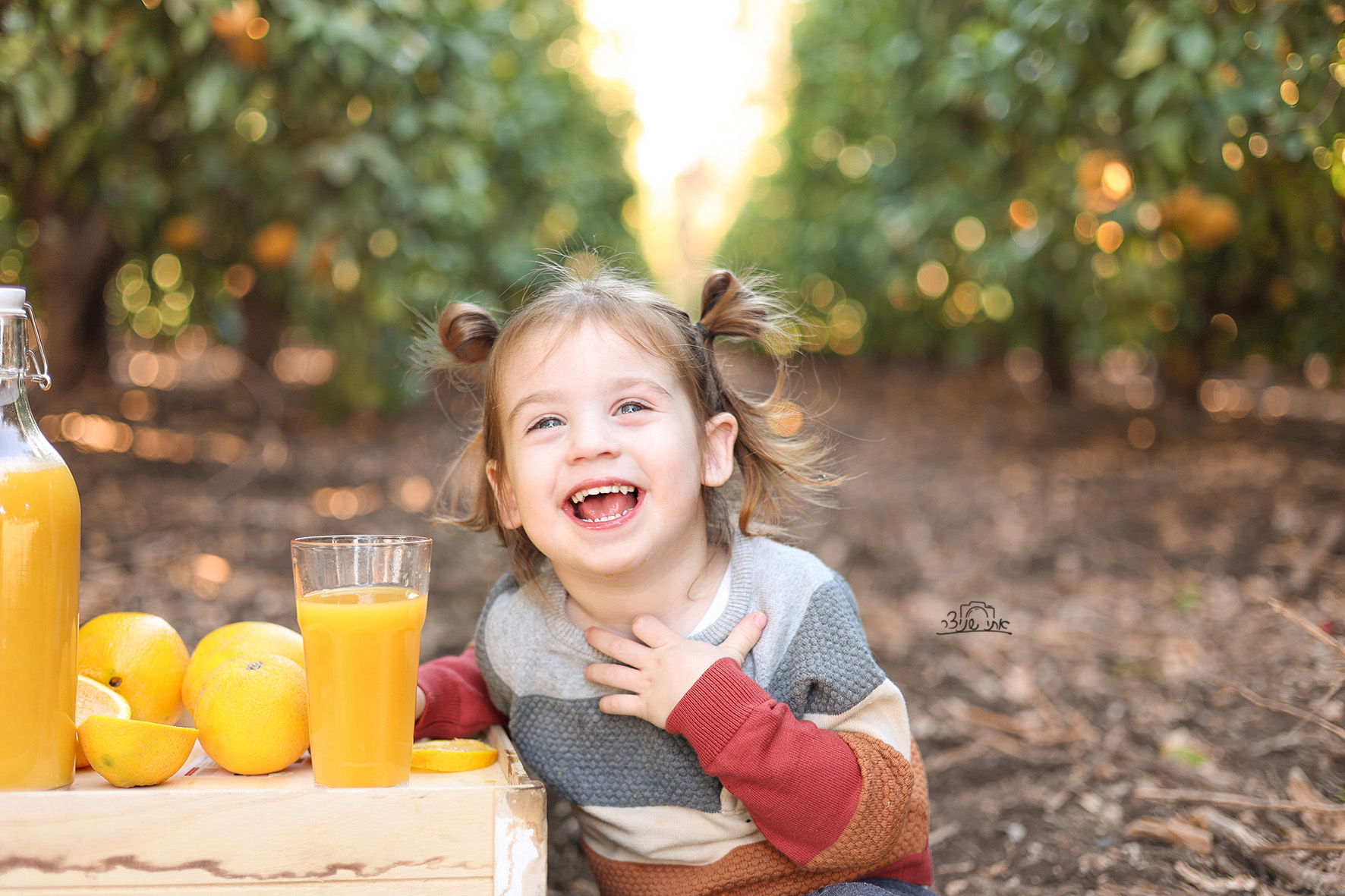 צילומי חלאקה משולבים בתמונות משפחתיות