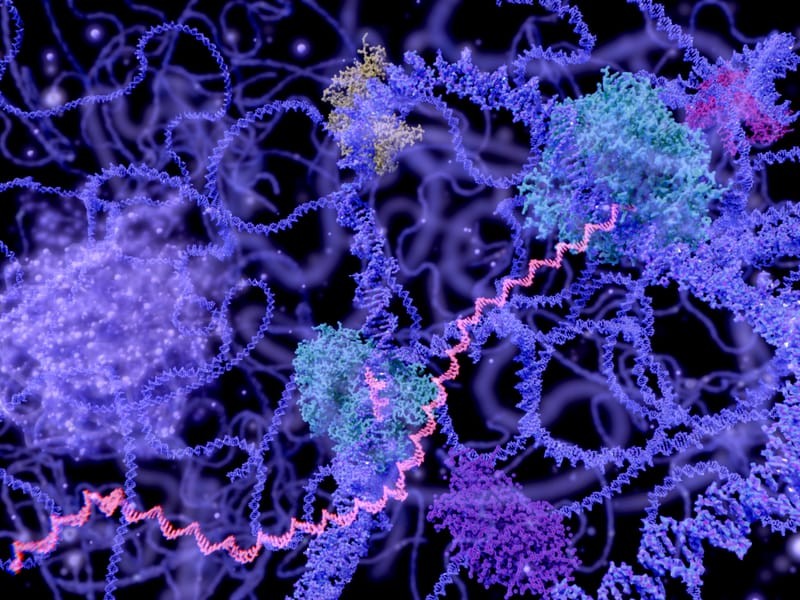 Utilizing RNA Aggregates to Trigger Robust Cancer Immunotherapy via Danger Response