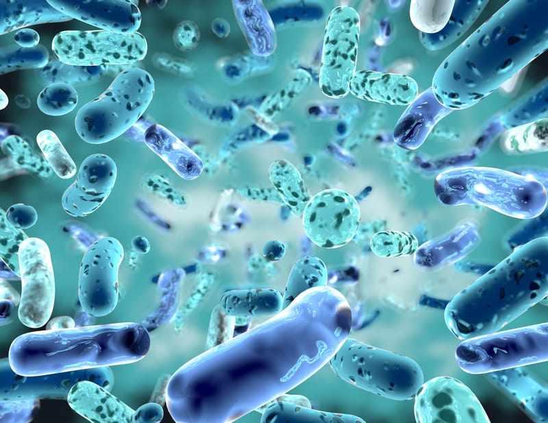 Study by Stanford Scientists Reveals the Personalized Nature of our Bacteria