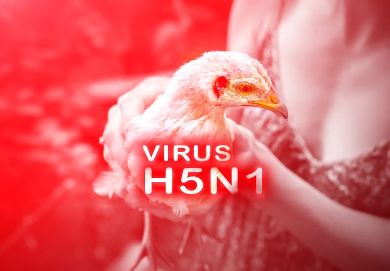 New FDA and Academic Studies Confirm Pasteurization's Efficacy in Neutralizing H5N1 Bird Flu in Milk