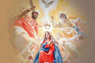 Siete razones para ser devotos de la Virgen María