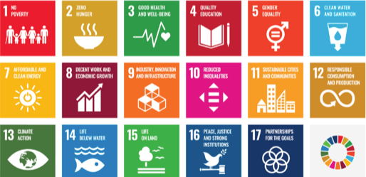 The SDGs