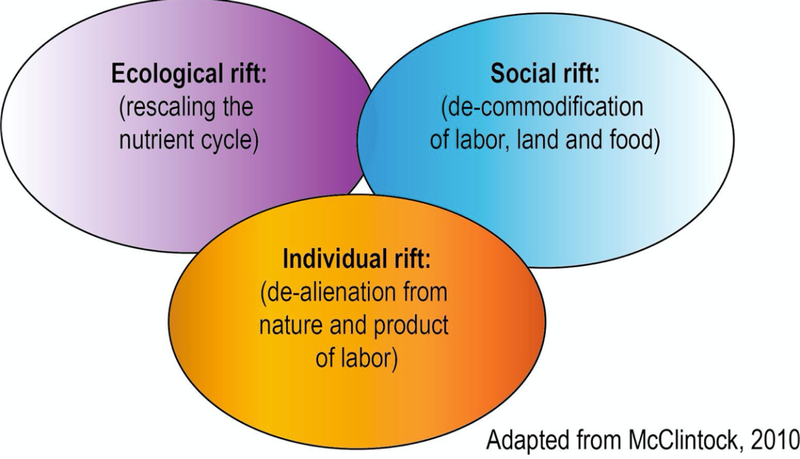 Generatively Critical