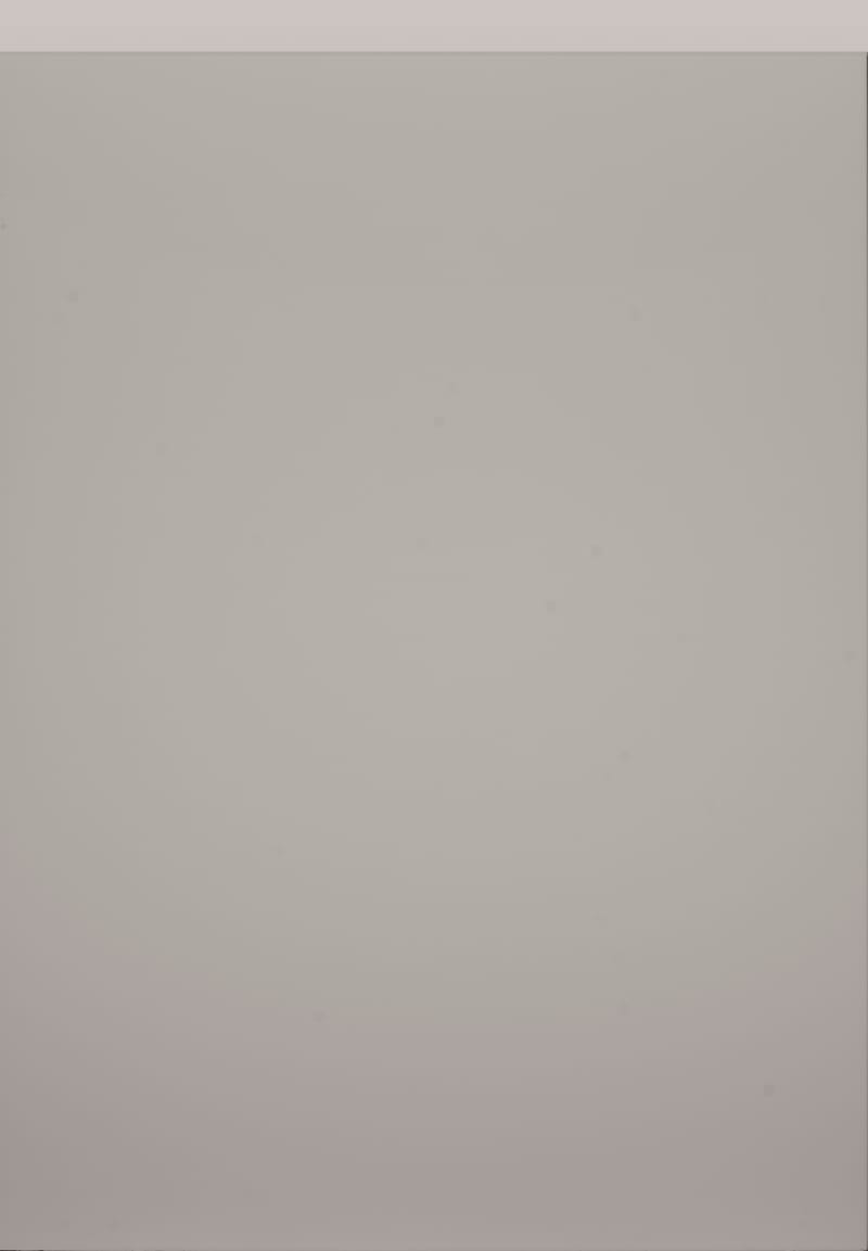 Remo Matt Colour Options 