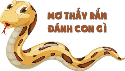 Mo thay ran danh con gi, soi cau lo de chuan