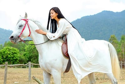 Mo thay cuoi ngua danh con gi?