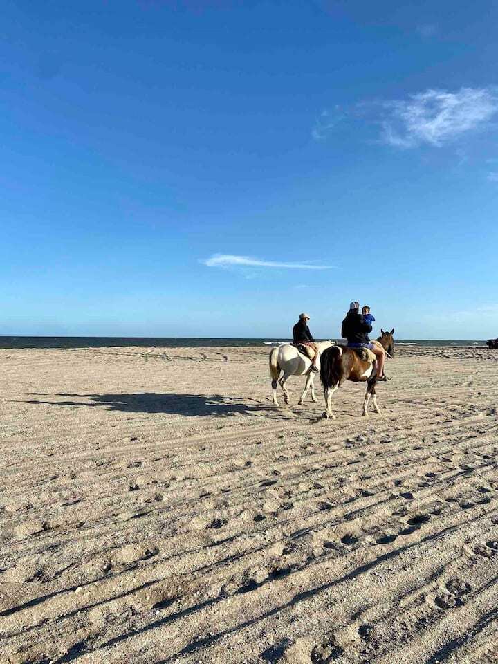 Cabalgatas por la playa