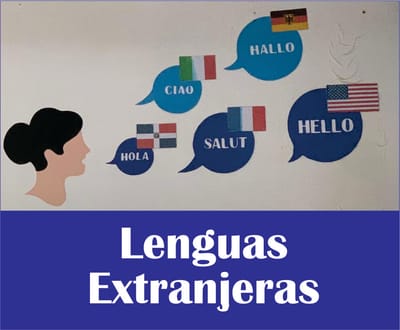Roles de los docentes en el área de lenguas extrangeras