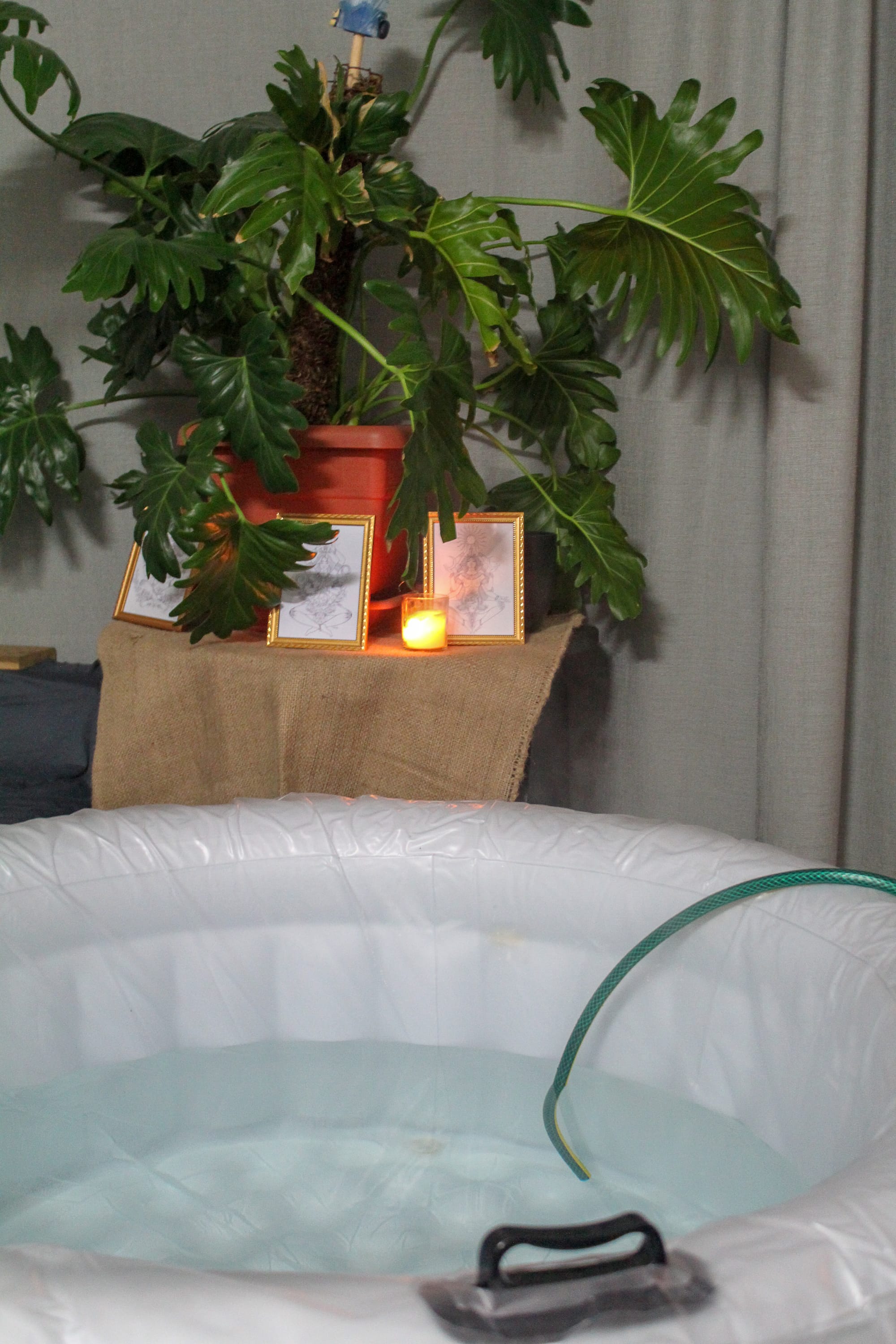 At Home // Waterbirth