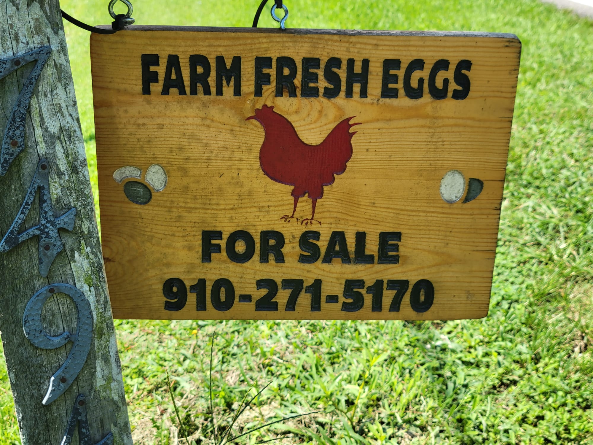 Farm fresh eggs