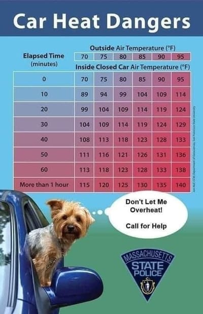Car Heat Dangers