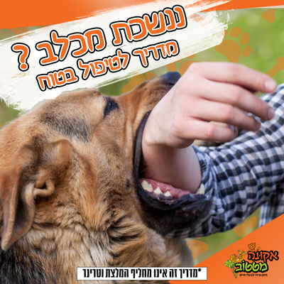 חשש לכלבת עקב נשיכה?