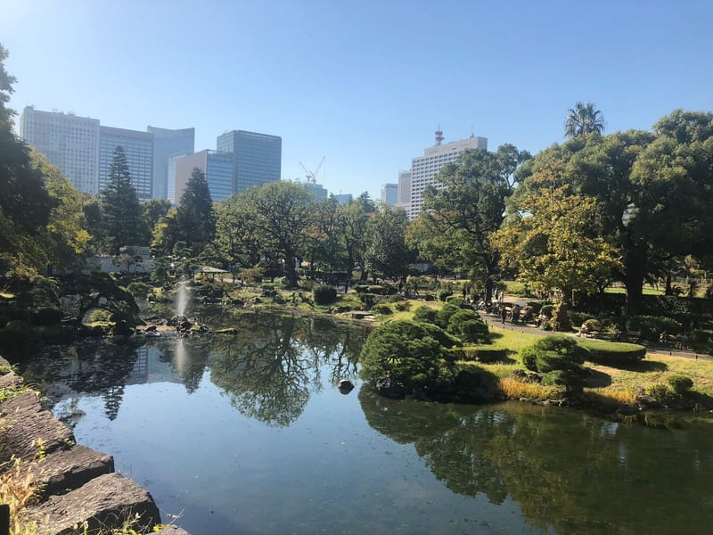 Japonés y cultura para viajes