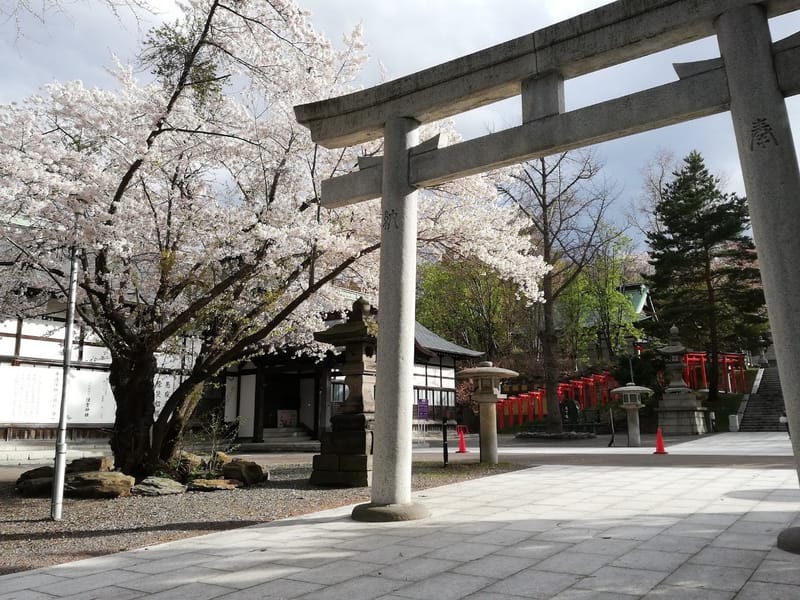 Japonés y cultura para viajes