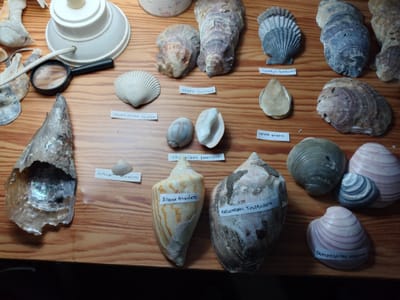 Sobre nosotros image