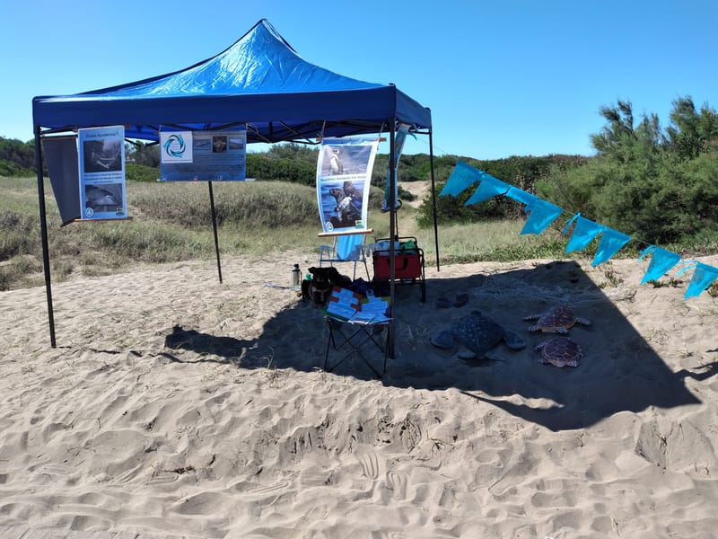 Campaña de concientización sobre Tortugas marinas