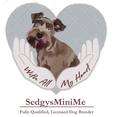 MISSION STATEMENT image