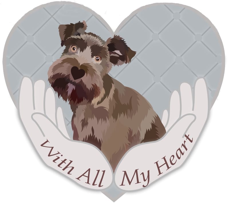 GoodBye 2022! the highs and the lows..