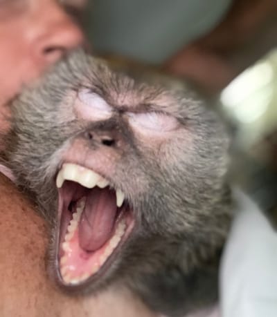 Waking up with Bonnie