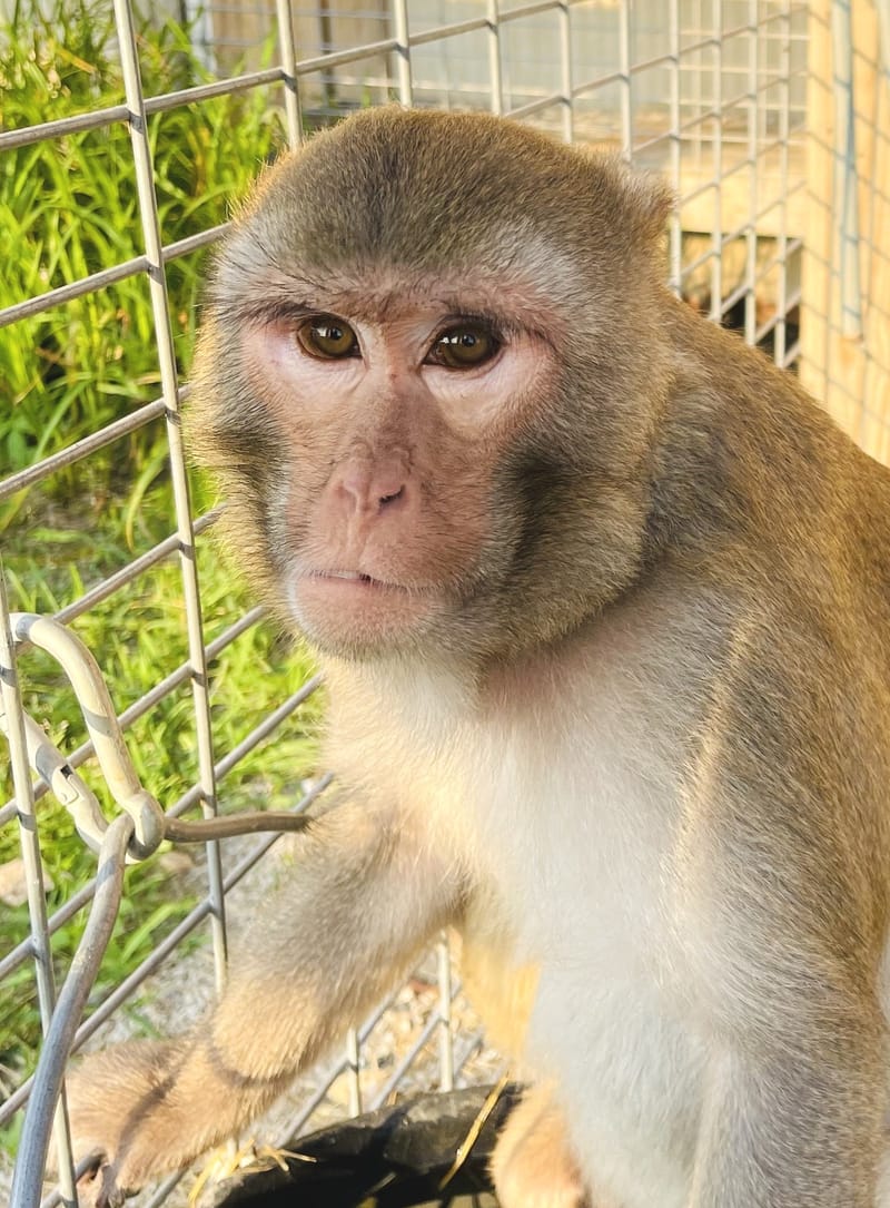 Animal Care Training Sessions