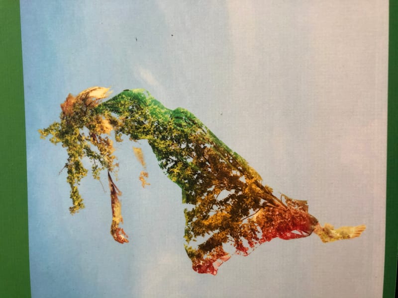 Her book Kamikaze Yogi: Christ, Yoga + the Courage to Emerge & what people are saying